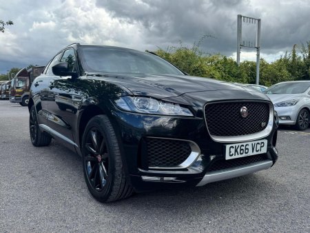 JAGUAR